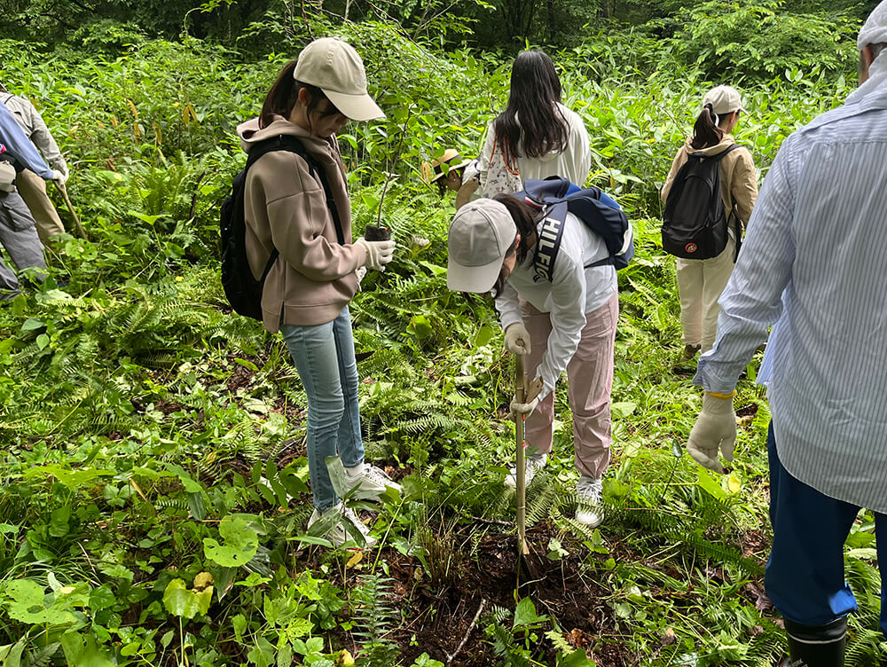 植樹の様子