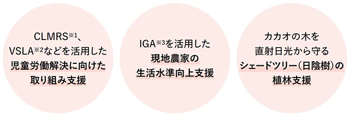 CLMRS※1、VSLA※2などを活用した、児童労働解決に向けた取り組み支援・IGA※3を活用した現地農家の生活水準向上支援・カカオの木を直射日光から守るシェードツリー(日陰樹)の植林支援